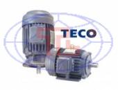 1 - Giá động cơ điện, Motor hiệu TECO